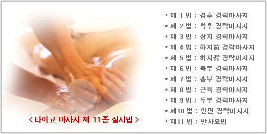 타이코 마사지 제 11종 실시법
