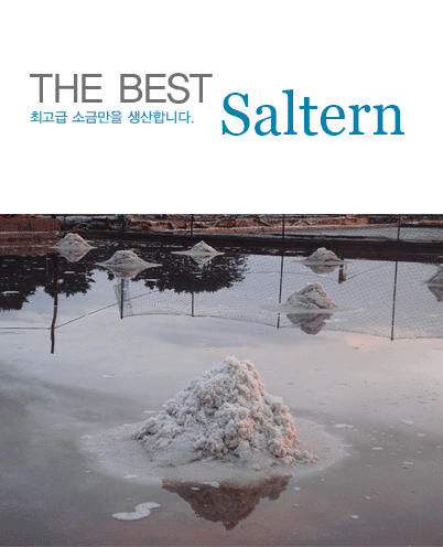 THE BEST Saltern �ְ��� �ұݸ��� �����մϴ�.
