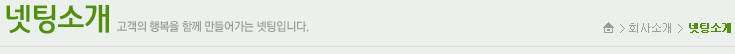 넷팅소개